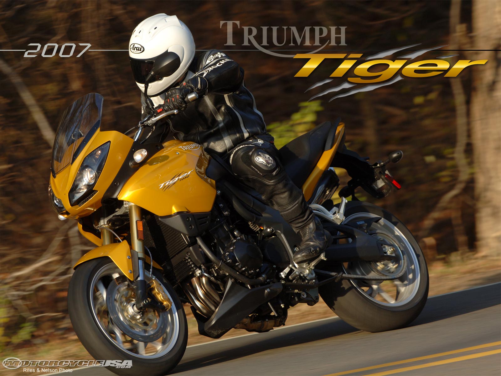 2007款凯旋Tiger摩托车图片1