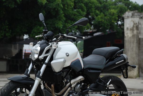 06年 YAMAHA 另类街车 MT-03 意大利制造 图片 0