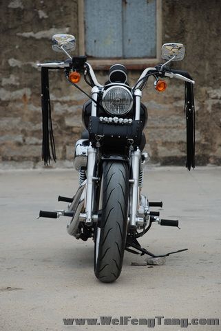 11年 Harley Davidson 哈雷的野性传统 XL883L Sportster Low 图片 1