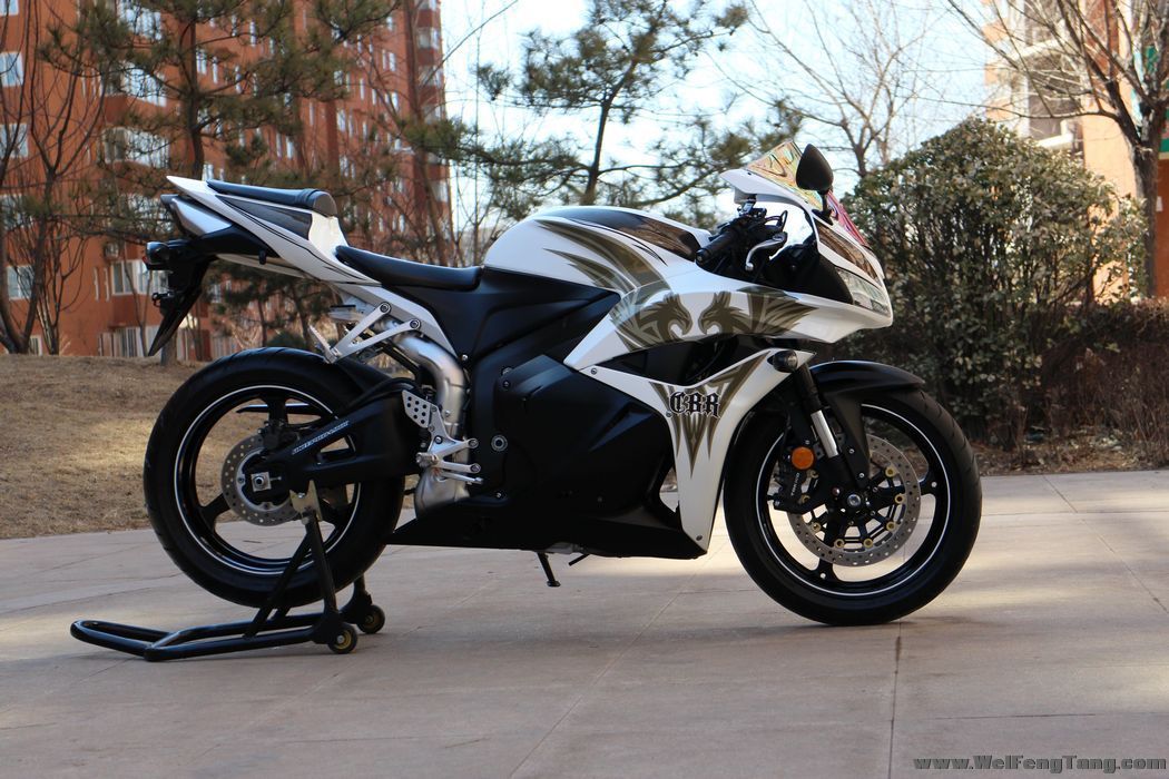 2009年CBR版画 本田CBR600 图片 0