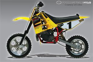 CobraCX50 OI摩托车2008图片