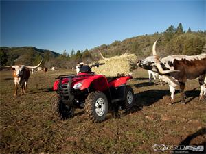 本田FourTrax Rancher 420 AT摩托车2010图片