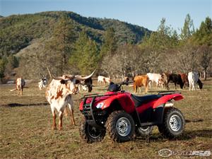 本田FourTrax Rancher 420 AT摩托车2010图片