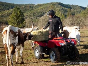 本田FourTrax Rancher 420 AT摩托车2010图片