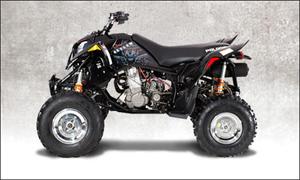 北极星Sportsman 500 EFI Deluxe摩托车2007图片