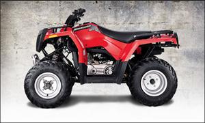 北极星Sportsman 500 EFI Deluxe摩托车2007图片