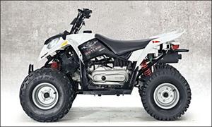 北极星Sportsman 500 EFI Deluxe摩托车2007图片