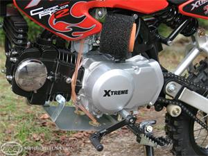 XtremePit Pro Cooper Replica 125 Stage II摩托车2005图片