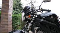 铃木SV650摩托车2008图片